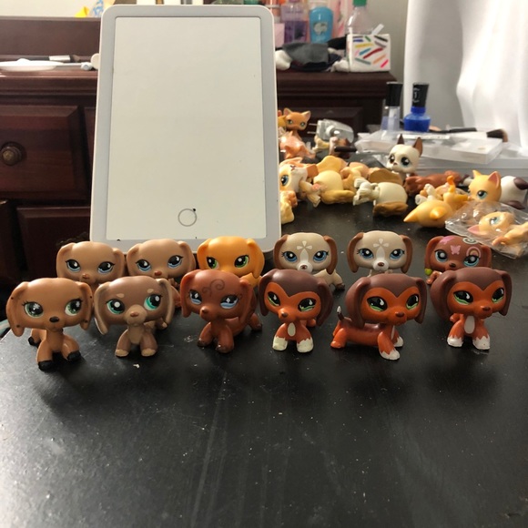 Littlest pet shops